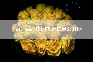 扬州中国执行信息公开网