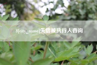 扬州失信被执行人杳询