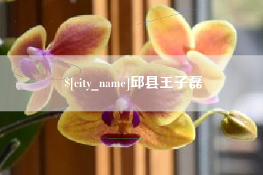 扬州邱县王子磊