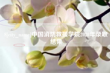 扬州中国消防救援学院2020年录取结果