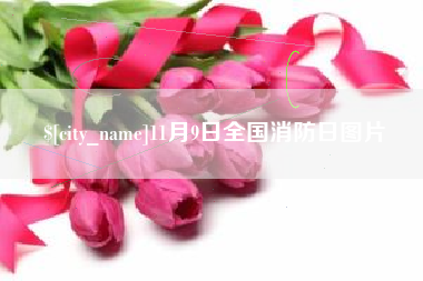 扬州11月9日全国消防日图片