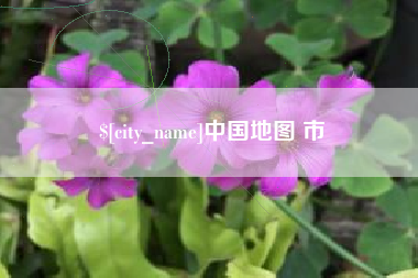 扬州中国地图 市