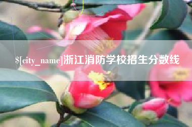 扬州浙江消防学校招生分数线