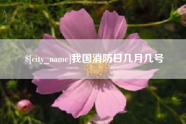 扬州我国消防日几月几号