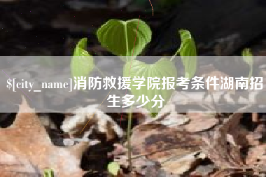 扬州消防救援学院报考条件湖南招生多少分