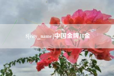 扬州中国金牌18金