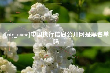 扬州中国执行信息公开网是黑名单吗