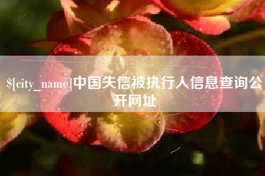 扬州中国失信被执行人信息查询公开网址
