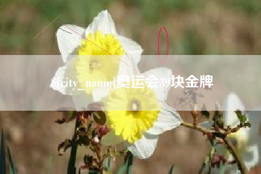 扬州奥运会39块金牌