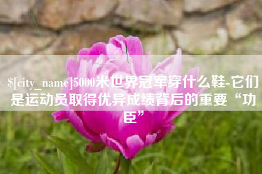扬州5000米世界冠军穿什么鞋-它们是运动员取得优异成绩背后的重要“功臣”
