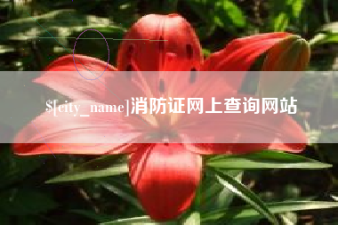 扬州消防证网上查询网站