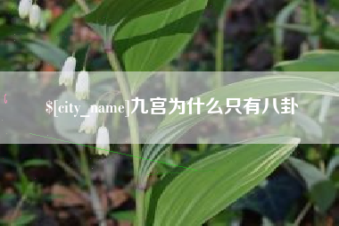 扬州九宫为什么只有八卦