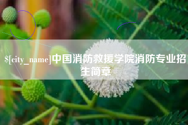 扬州中国消防救援学院消防专业招生简章