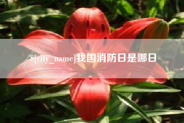 扬州我国消防日是哪日