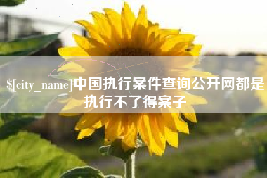 扬州中国执行案件查询公开网都是执行不了得案子