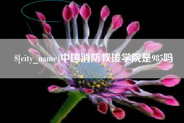 扬州中国消防救援学院是985吗