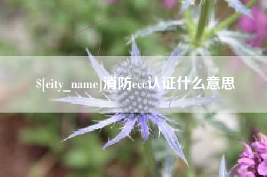 扬州消防ccc认证什么意思