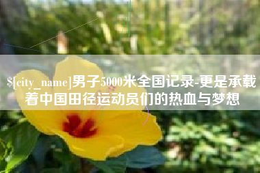 扬州男子5000米全国记录-更是承载着中国田径运动员们的热血与梦想