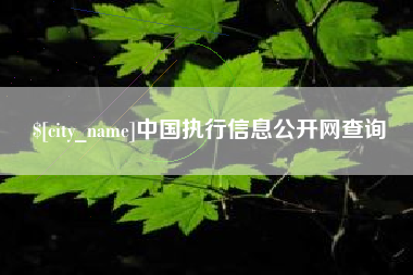 扬州中国执行信息公开网查询