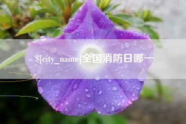 扬州全国消防日哪一