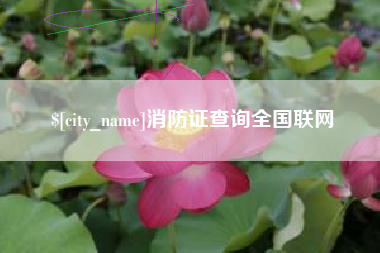 扬州消防证查询全国联网