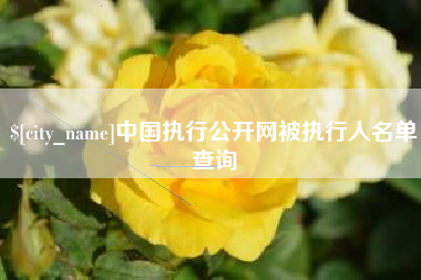 扬州中国执行公开网被执行人名单查询