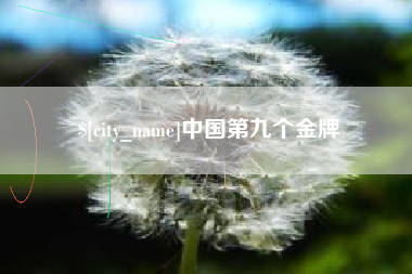 扬州中国第九个金牌
