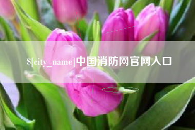 扬州中国消防网官网入口
