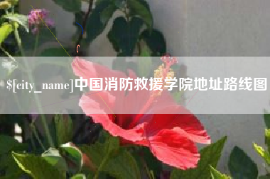 扬州中国消防救援学院地址路线图