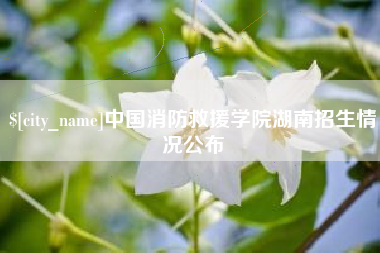 扬州中国消防救援学院湖南招生情况公布