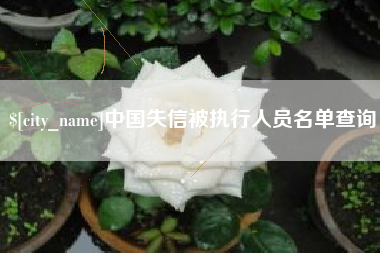 扬州中国失信被执行人员名单查询