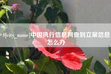 扬州中国执行信息网查到立案信息怎么办
