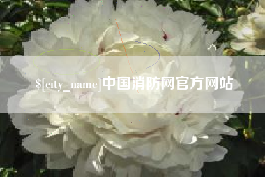 扬州中国消防网官方网站