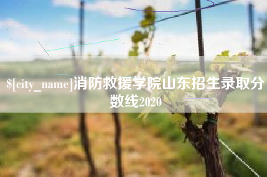 扬州消防救援学院山东招生录取分数线2020