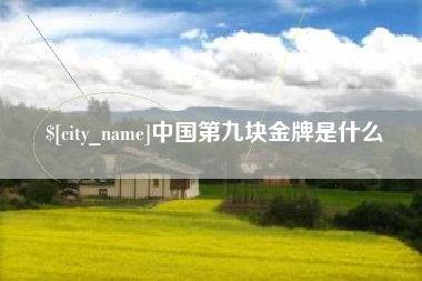 扬州中国第九块金牌是什么