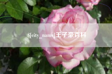 扬州王子豪百科