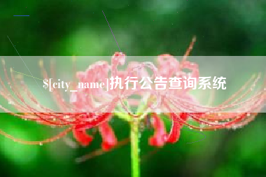 扬州执行公告查询系统