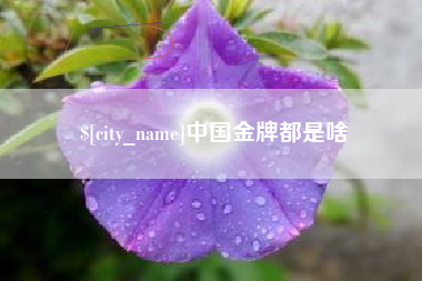 扬州中国金牌都是啥
