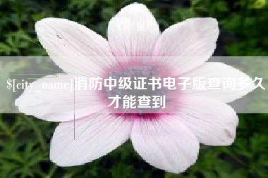 扬州消防中级证书电子版查询多久才能查到