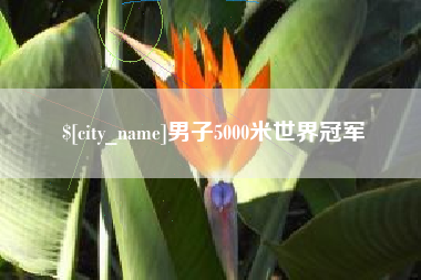 扬州男子5000米世界冠军