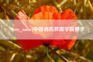 扬州中国消防救援学院要求