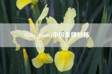 扬州中国金牌包括