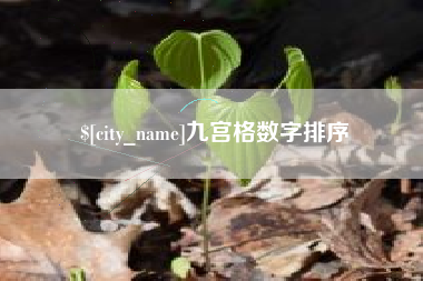 扬州九宫格数字排序
