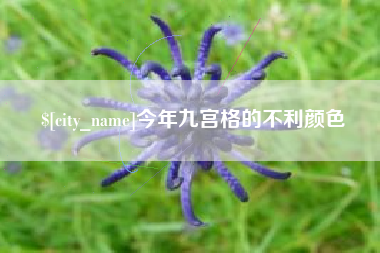 扬州今年九宫格的不利颜色