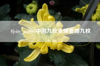 扬州中国九枚金牌是哪九枚