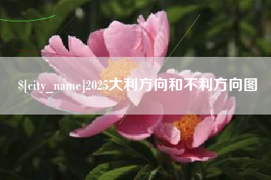 扬州2025大利方向和不利方向图