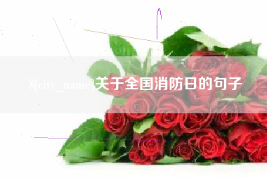扬州关于全国消防日的句子