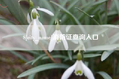 扬州消防证查询入口