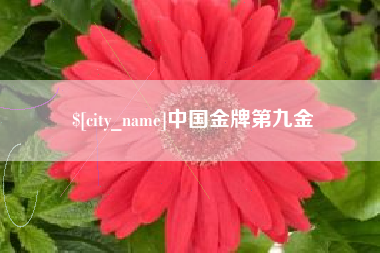 扬州中国金牌第九金