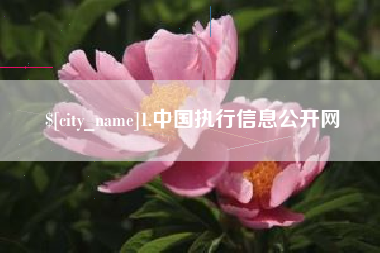 扬州1.中国执行信息公开网